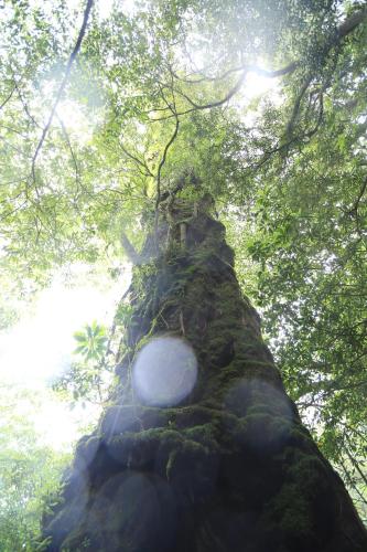 Natuurlandschap vlak bij de bed & breakfast