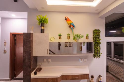a kitchen with a colorful bird on the wall at Murree Hills Executive 3 Bedroom Cottage with Scenic View in Murree