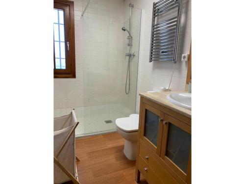 a bathroom with a shower and a toilet and a sink at Stone house with private pool in Agua Amarga in Los Cerrillos