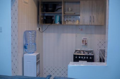 a small kitchen with a blender and a stove at Urban Nest suites in Kisii