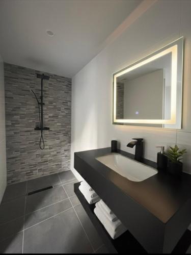 a bathroom with a large sink and a mirror at Casa Nalya in Kourou