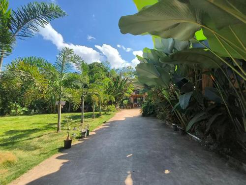 a path through a park with palm trees and a house at Jinghong Manyun Dai Village Inn in Jinghong