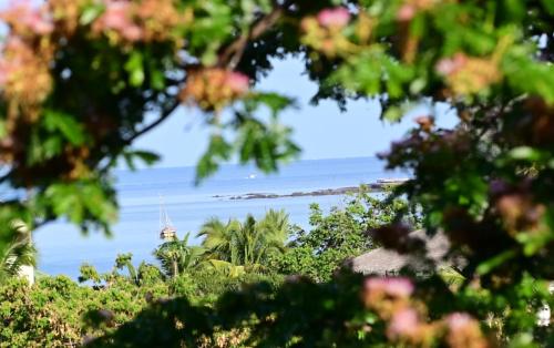 Příroda nedaleko hotelu