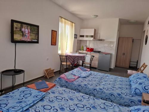 a living room with two beds and a kitchen at Srebrno Jezero studio apartman Dimi in Veliko Gradište