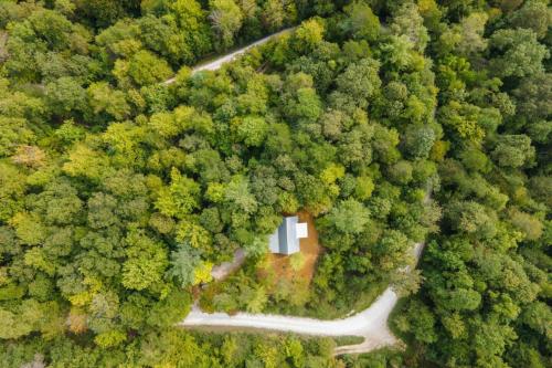 an aerial view of a house in the middle of a forest at Pet-Friendly Tiny Cabin - Pine Point in Pine Ridge