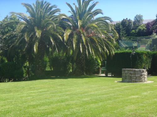 dos palmeras en un parque con césped verde en Basque Palace, Mansion con Jardín, Barbacoa, Gimnasio, Piscina, Sauna, en Mungia