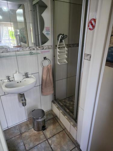 a bathroom with a sink and a shower at Primrose Accommodation in George