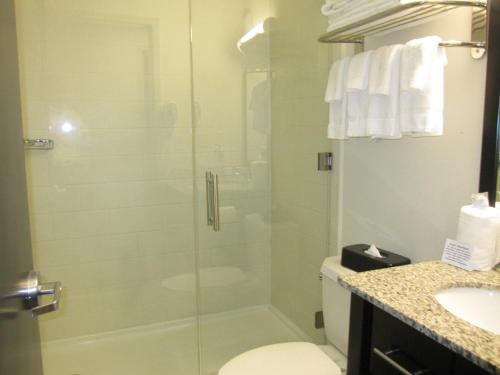 y baño con ducha, aseo y lavamanos. en Cresthaven Inn Jamaica-JFK, en Queens