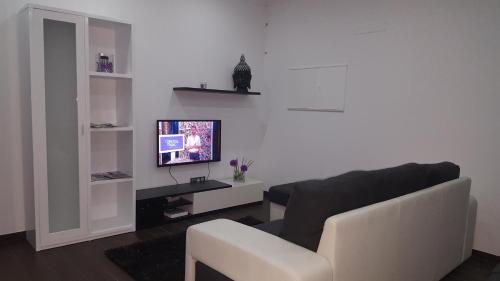 a living room with a couch and a television at Vivenda Paraíso in Candelária