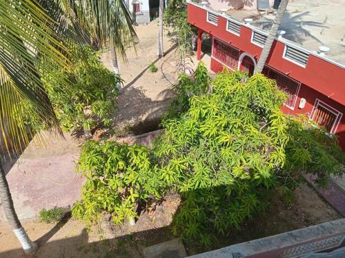 Zahrada ubytování Casa Michel