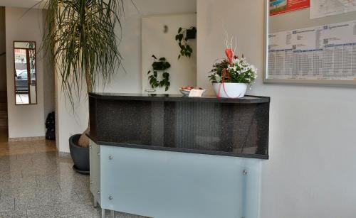 eine Theke mit zwei Topfpflanzen darüber in der Unterkunft Hotel Feuerbacher Hof in Stuttgart