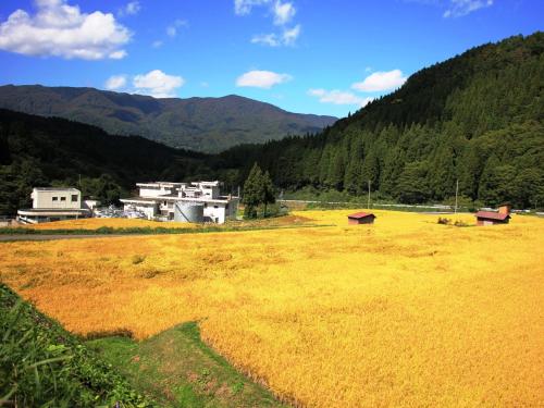 a large field with two benches in the middle at Chouchinya in Nozawa Onsen
