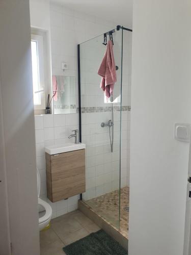 een badkamer met een douche, wastafel en toilet bij Maison agreable in Blois