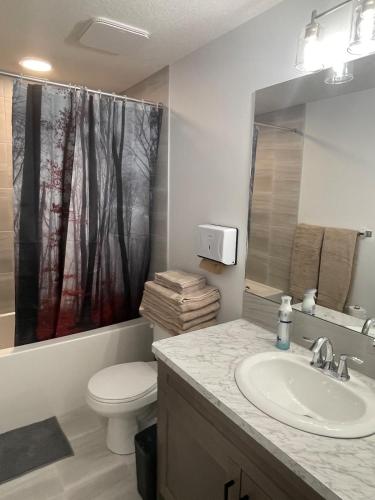 Vannituba majutusasutuses Cozy and modern two bedroom guest suite