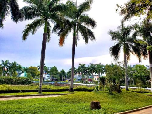 a park with palm trees and a path at Nhà Nghỉ Thành Duy in Quang Ngai