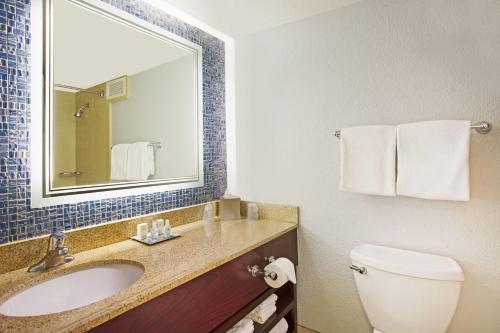 a bathroom with a sink and a toilet and a mirror at Wyndham Lake Buena Vista – Disney Springs® Area in Orlando