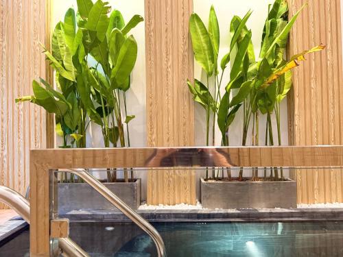 two potted plants sitting on top of a table at The Little Danang in Da Nang