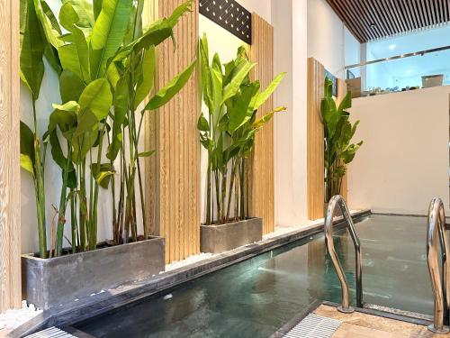 a swimming pool with plants in a room at The Little Danang in Da Nang