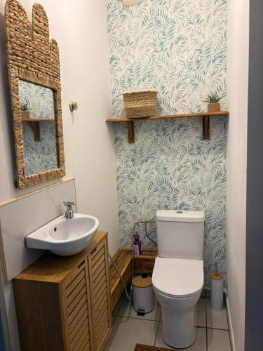 a bathroom with a toilet and a sink at Évasion du lagon, Le patio de la plage St Pierre in Saint-Pierre