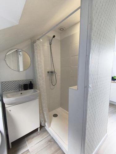 baño pequeño con ducha y lavamanos en Cosy Studio, en Quimperlé