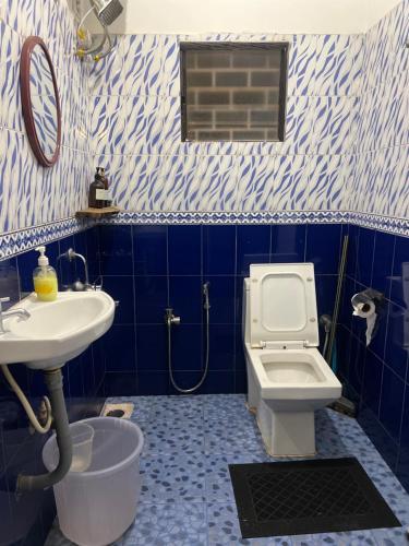 a blue and white bathroom with a sink and a toilet at Bayou Homestay and backwaters in Goa