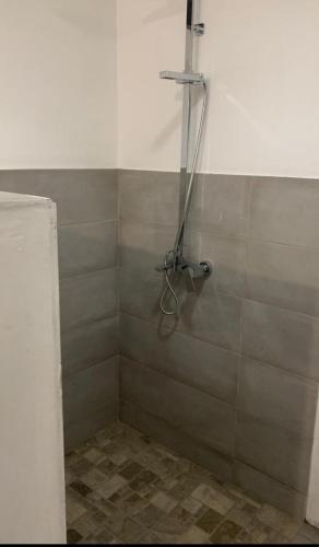 a shower in a bathroom with a tiled wall at Studio J in Lalmatie