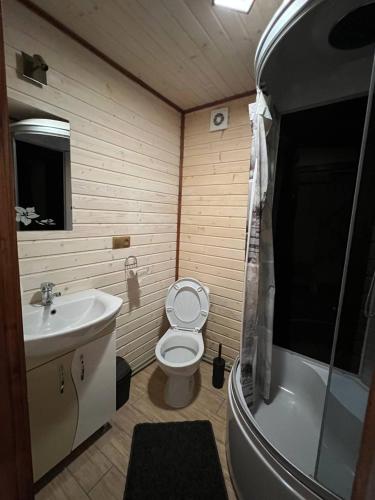 a bathroom with a toilet and a sink and a tub at Лісова тиша Дворівневий Люкс in Synevyrsʼka Polyana