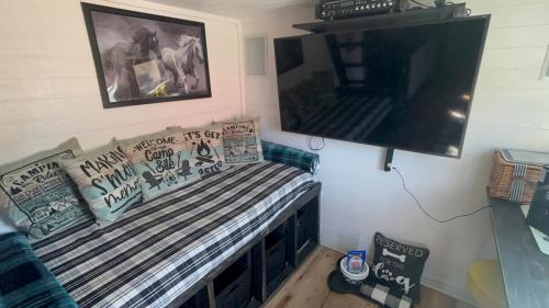 TV a/nebo společenská místnost v ubytování Remote Modern Tiny House with Deck, BBQ and Mountain Views in Arizona