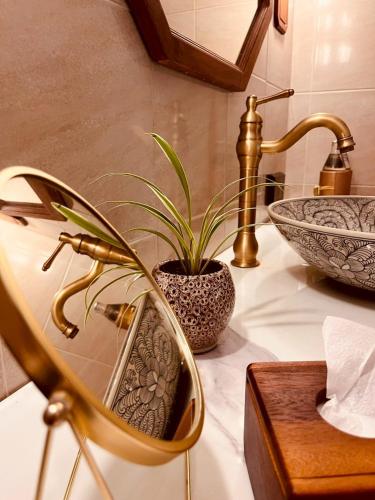 a bathroom counter with a sink and a potted plant at Lost Horizon Resort - Khao Sok in Khao Sok National Park