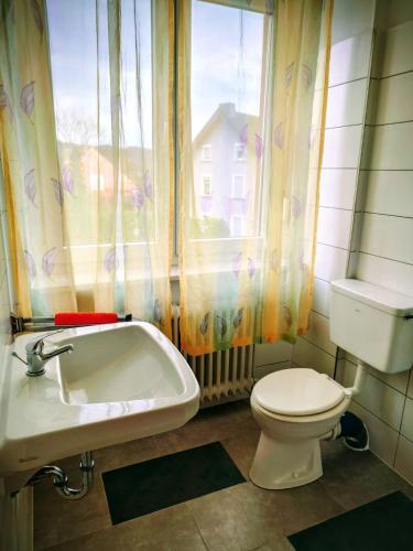 a bathroom with a toilet and a sink and a window at Haus Werdohl in Werdohl