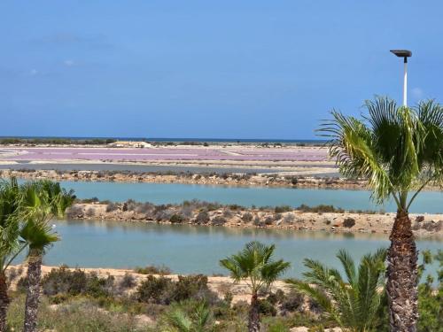 ein Fluss in der Wüste mit Palmen in der Unterkunft Casa Flamingo - Corner house near beach & boulevard with sea & salt lake view in San Pedro del Pinatar