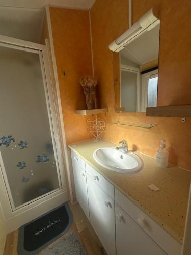 a bathroom with a sink and a shower and a mirror at Fantastic house in Aldeia Nova