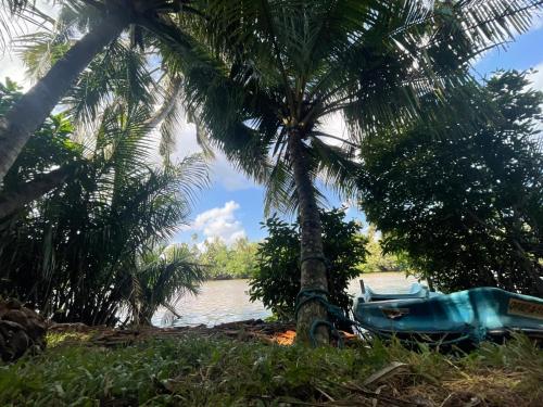 Fotografie z fotogalerie ubytování Kuma Surf Camp Hostel v destinaci Weligama