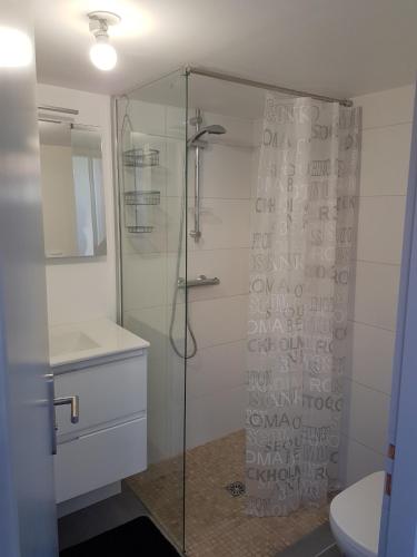 a bathroom with a glass shower with a toilet at DUPLEX BASSIN D'ARCACHON in Gujan-Mestras