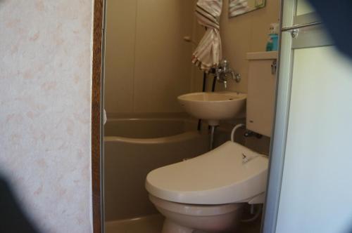 ein Bad mit einem WC und einem Waschbecken in der Unterkunft Hotel New Fukudaya in Minami Uonuma