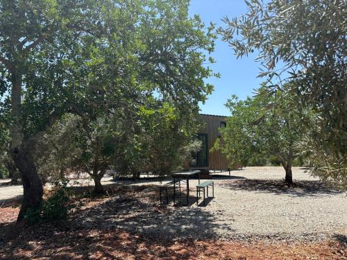 Imagen de la galería de Tiny House, en Pereiro