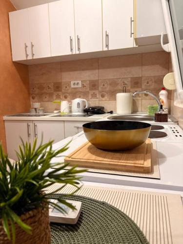 Kuchyň nebo kuchyňský kout v ubytování Gintas Comfort