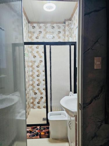 a small bathroom with a toilet and a sink at Vel Serene Villa in Panglao Island
