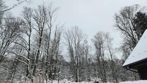 Tavba -Gočár až 27 osob, 8 apartmánů,8 koupelen, 8 kuchyní na kraji lesa