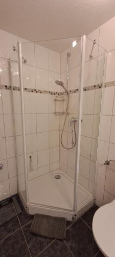 シャイデックにあるFerienwohnung Allgäu-Harmonie - Pool, Sauna, Bergblick, 2 Zimmerのバスルーム(シャワーブース、トイレ付)