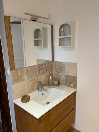 a bathroom with a sink and a mirror at Le domaine des amours in Saint-Josse