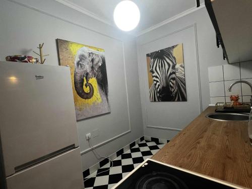 a kitchen with a refrigerator and some pictures of zebras at JUCIN apartman in Zrenjanin