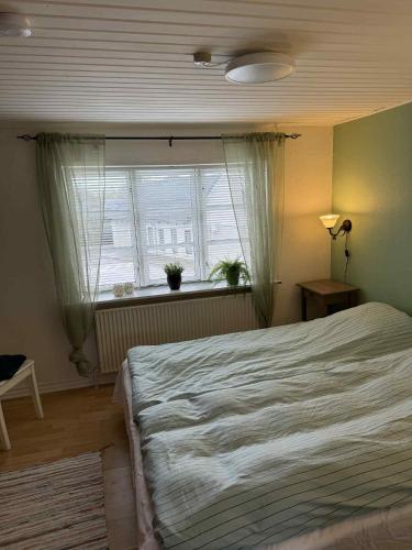 a bedroom with a large bed and a window at Tylstrup Nordjylland in Tylstrup