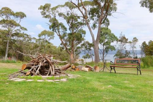 a pile of tree branches next to a bench at The Seaside House - A little gem by the sea in Tinderbox