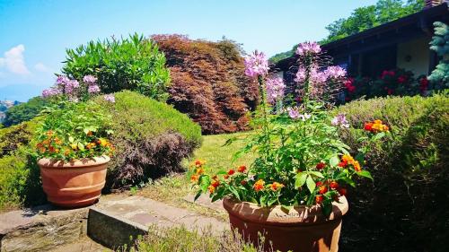 twee grote bloempotten in de tuin bij Casa Elena in Castelveccana