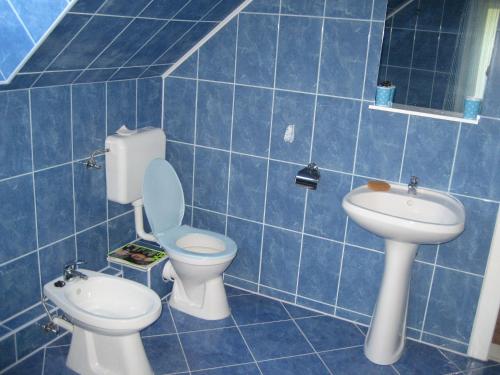 a blue tiled bathroom with a toilet and a sink at Pensiunea Colt Alb in Băile Homorod