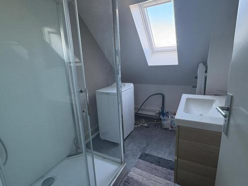une salle de bain avec douche et lavabo dans l'établissement Appart 8min à pied de la gare, au Mans