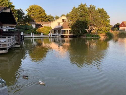 Large lakeside house - Mayvillage
