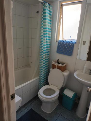a bathroom with a toilet and a sink at Hospedaje en departamento compartido in Valparaíso