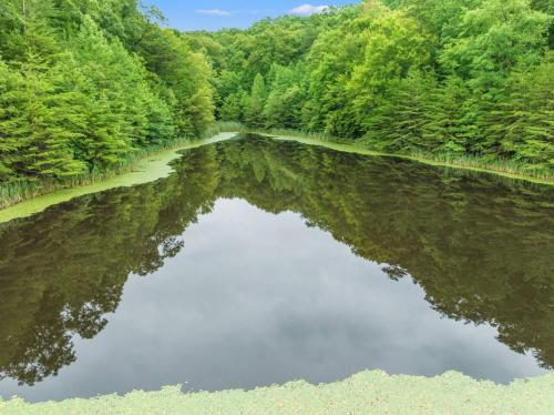 a river with a reflection of trees in the water at 1 600 Acres Pool Pond Hidden Treasure RRG in Stanton